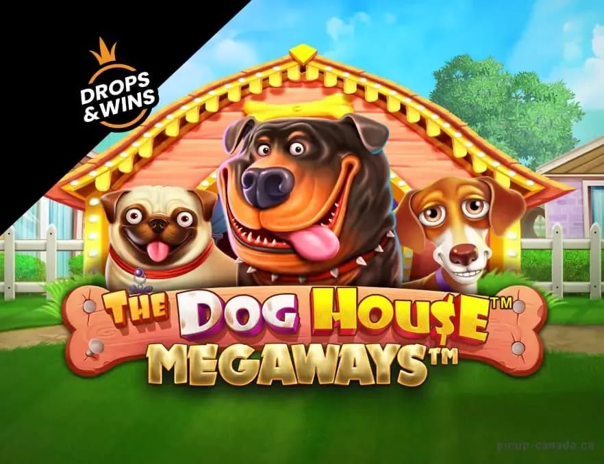 BetPlays Casino Gallery 1-32